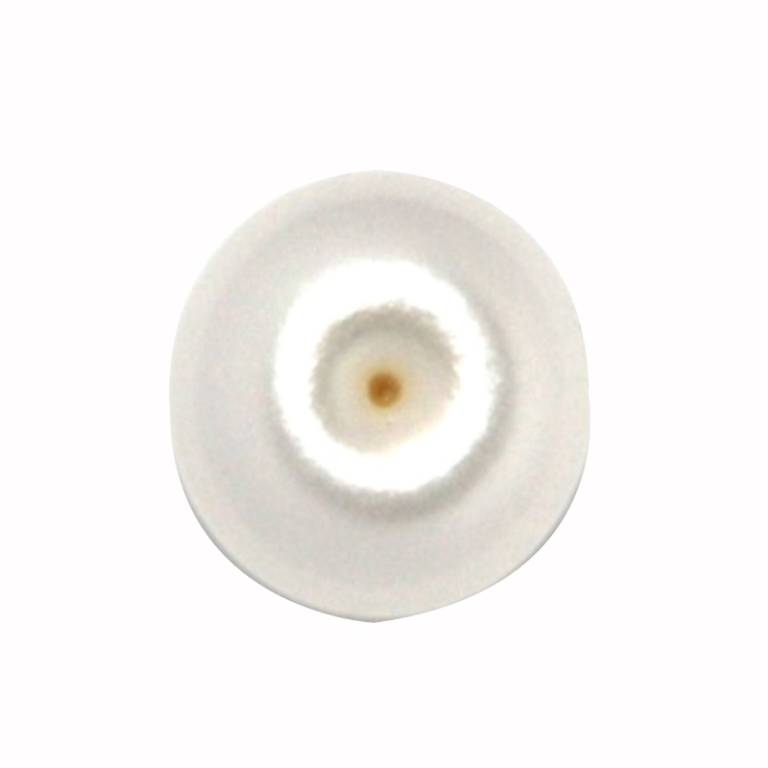 Buy certified natural pearl (moti) gems /gemstones at best & wholesale ...