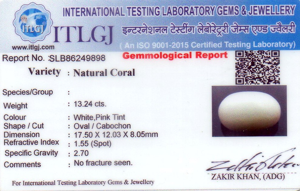 24012023184208_White%20Coral%2049898.jpg