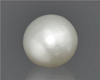 Pearl (South Sea) Certified 7.07CTS-92620