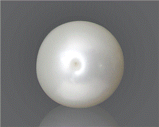 Pearl (South Sea) Certified 10.85CTS-92625