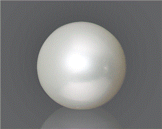 Pearl (South Sea) Certified 10.85CTS-92625