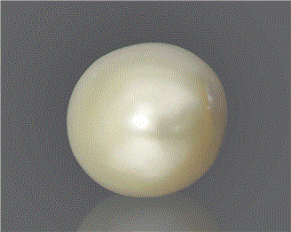 Pearl (South Sea) Certified 12.22CTS-92636