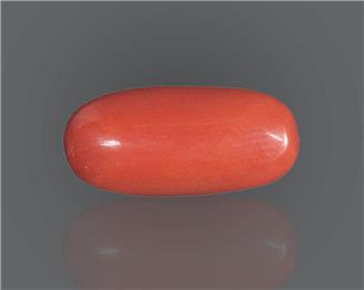 Natural Red Coral (I) 8.95 rts- 66480