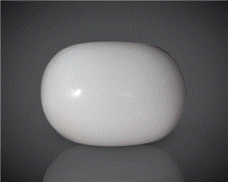 Natural White Coral  16.77CTS-90560
