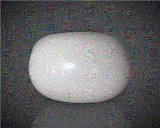 Natural White Coral  11.42CTS-90566