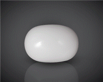 Natural White Coral  12.68CTS-90587