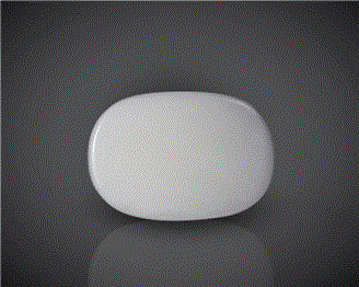 Natural White Coral  12.53CTS-90591