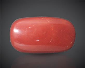 Natural Red Coral (I) Certified 15.95 RTS - 95601