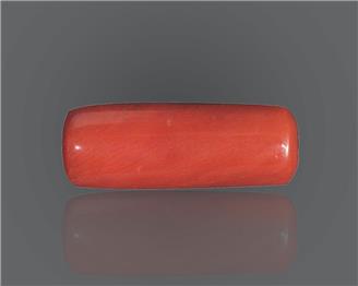 Natural Red Coral 11.21 rts- 66648