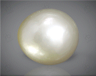  Pearl( J KESHI ) 15.24CTS-31847