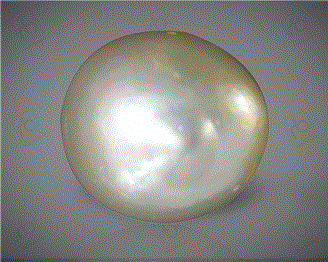  Pearl( J KESHI ) 15.24CTS-31847