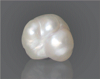 Natural Pearl (Basra) Certified  5.74CTS-29310