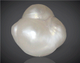 Natural Pearl (Basra) Certified  4.84CTS-29331
