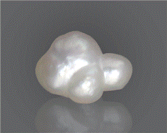 Natural Pearl (Basra) Certified  4.47CTS-29340