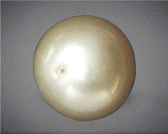  Pearl( South Sea ) 13.52CTS-31809