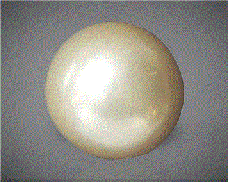  Pearl( South Sea ) 13.52CTS-31809