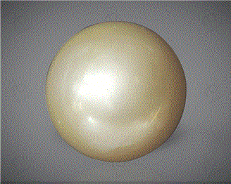  Pearl( South Sea ) 8.64CTS-31810