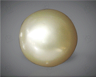  Pearl( South Sea ) 7.44CTS-31813