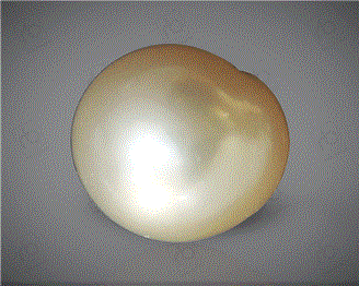  Pearl( South Sea ) 8.24CTS-31822