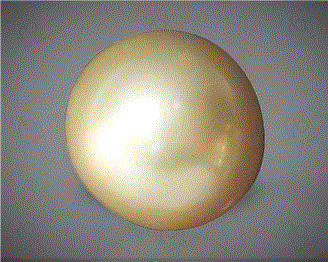  Pearl( South Sea ) 8.72CTS-31824