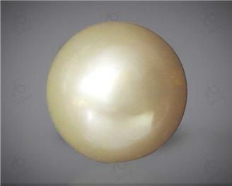 Pearl (South Sea ) 8CTS-31929