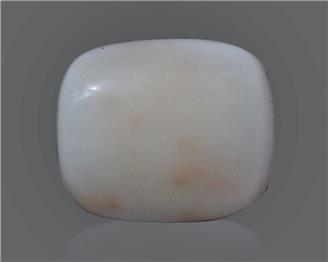 Natural White Coral 14.75 Cts 10517