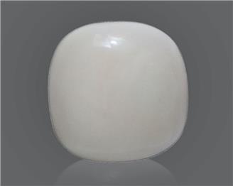 Natural White Coral 15.03 Cts 10521