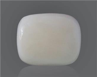 Natural White Coral 14.42 Cts 10525
