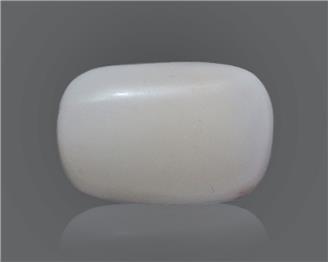 Natural White Coral 12.01 Cts 10543