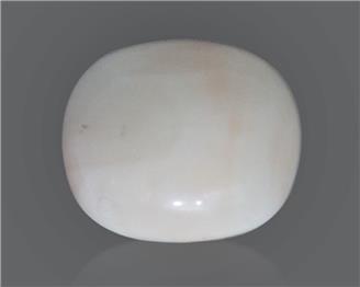 Natural White Coral 14.47 Cts 10554