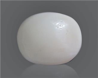 Natural White Coral 15 Cts 10555
