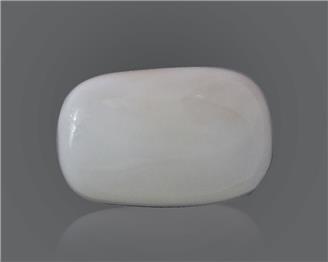 Natural White Coral 15.71 Cts 10556