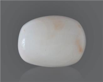 Natural White Coral 14.82 Cts 10558