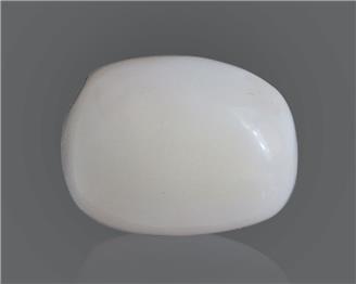 Natural White Coral 14.82 Cts 10558