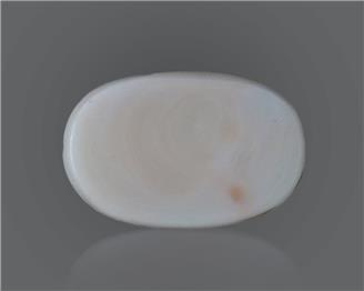 Natural White Coral 16.55 Cts 10559