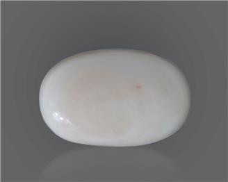 Natural White Coral 16.55 Cts 10559