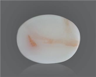 Natural White Coral 12.54 Cts 10560