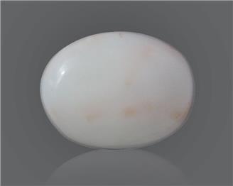 Natural White Coral 12.54 Cts 10560