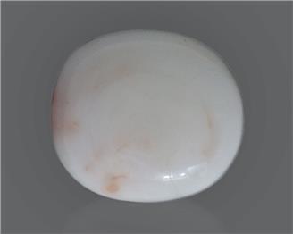 Natural White Coral 15.56 Cts 10564