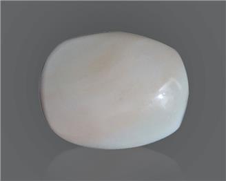Natural White Coral 16.44 Cts 10567
