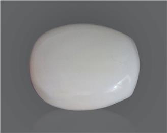 Natural White Coral 16.44 Cts 10567