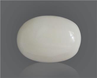 Natural White Coral 13.46 Cts 10568