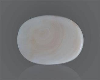 Natural White Coral 16.35 Cts 10571