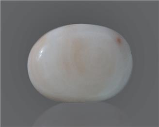 Natural White Coral 16.35 Cts 10571
