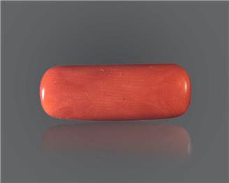 NATURAL RED CORAL (MOONGA) 8.44 Ratti ( 3770 )