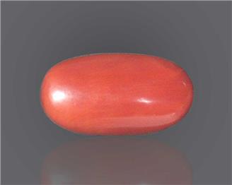 Natural Red Coral Certified  8.3 RTS - 52169