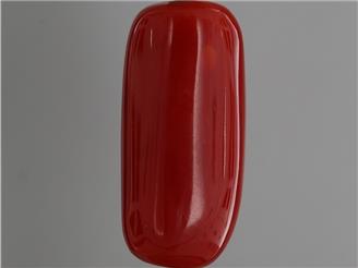 Natural Red Coral (I) Certified 10.35 RTS - 126242