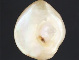 Pearl (J Keshi) 7.68CTS-1710