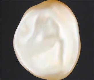 Pearl (J Keshi) 8.18CTS-1709