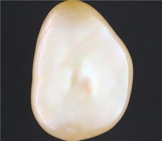 Pearl (J Keshi) 9.18CTS-1707